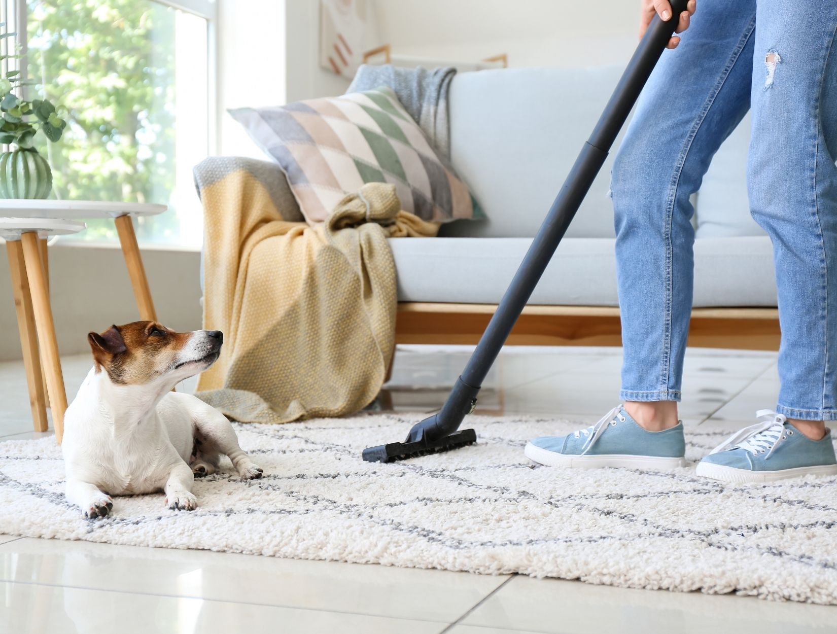 How Our Cleaning Services Transform Your Home